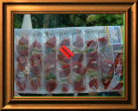 bbq002007.jpg